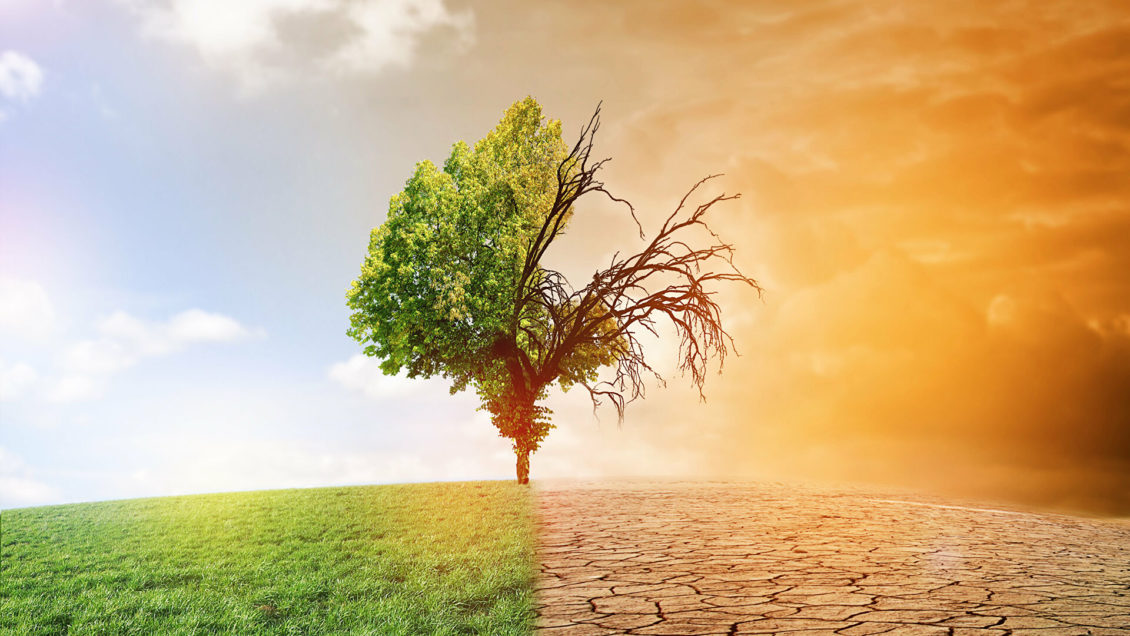 Вильфанд рассказал, надо ли бояться глобального потепления