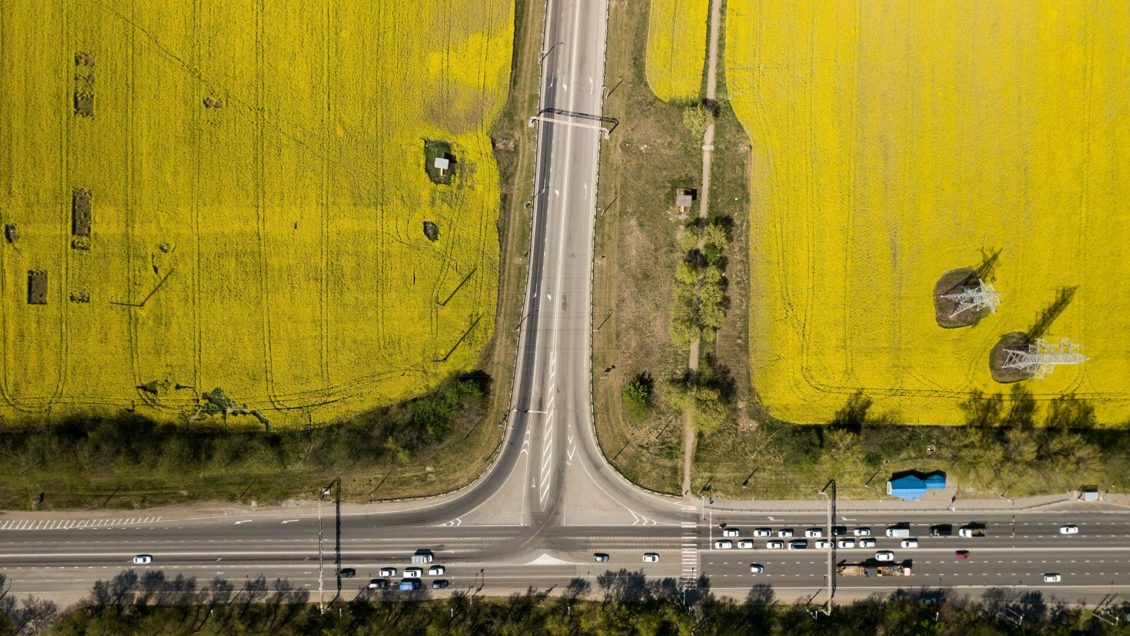 Пошлину на вывоз рапса из России продлят до сентября 2022 года