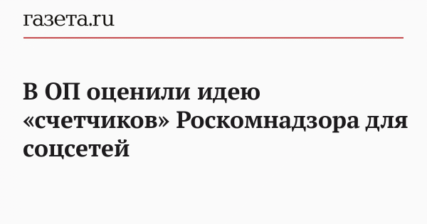 В ОП оценили идею &laquo;счетчиков&raquo; Роскомнадзора для соцсетей