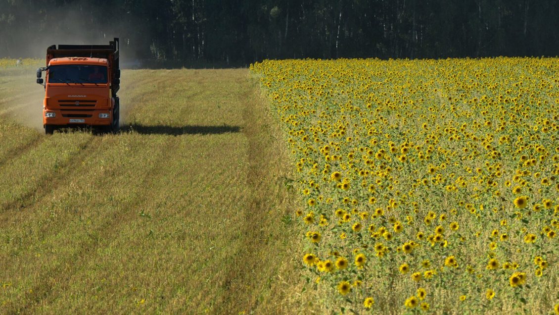 Эксперты назвали вставшую перед Россией новую угрозу
