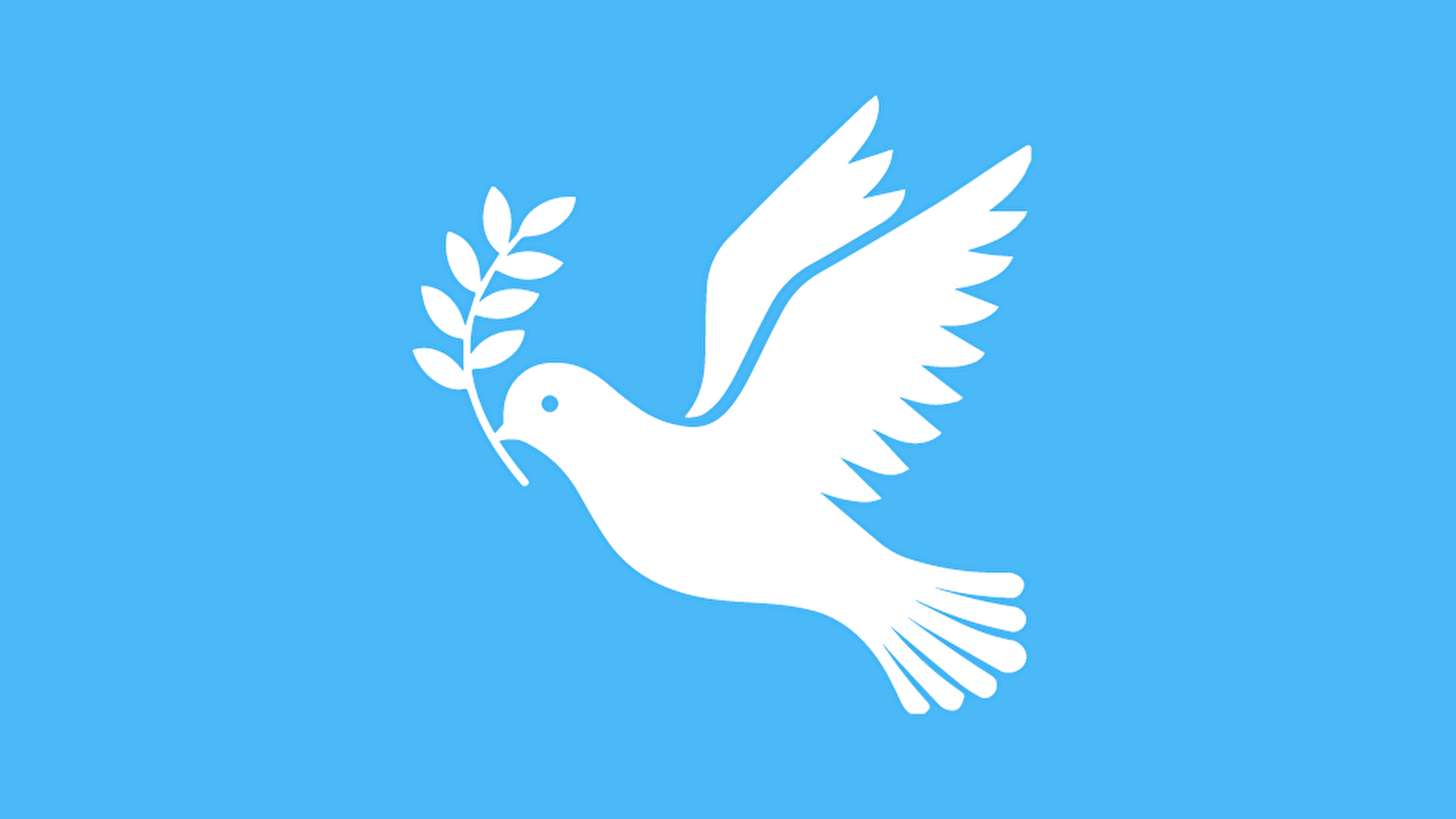 Путин рассказал Макрону о провокациях Киева в Донбассе