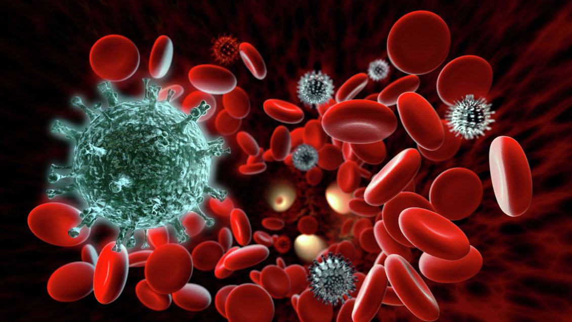 Антитело &mdash; личное дело. От чего зависит стойкость иммунитета к ковиду