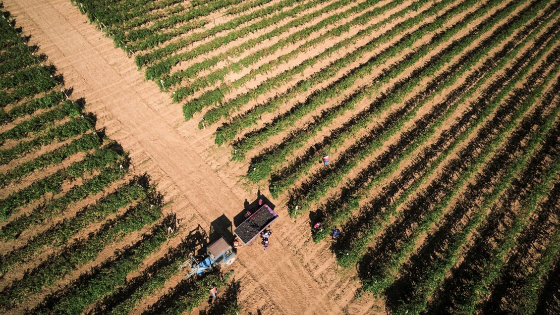 Кубанские предприятия заключили в Ташкенте контракты на $13,3 миллиона