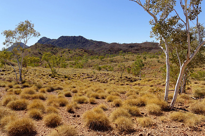Раскрыта причина появления таинственных колец в&nbsp;пустыне