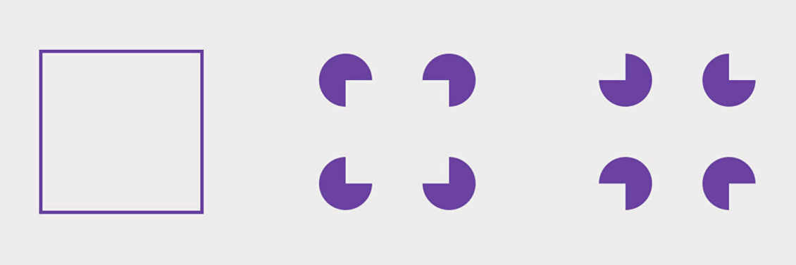 Понять и простить. Как кошки на самом деле относятся к хозяевам