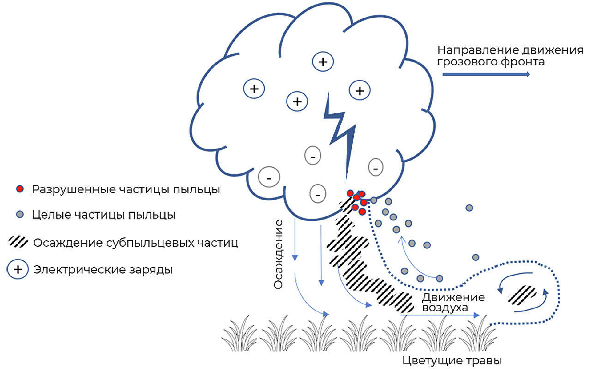 Смертельная гроза. Люди гибнут от удушья после вспышки молнии