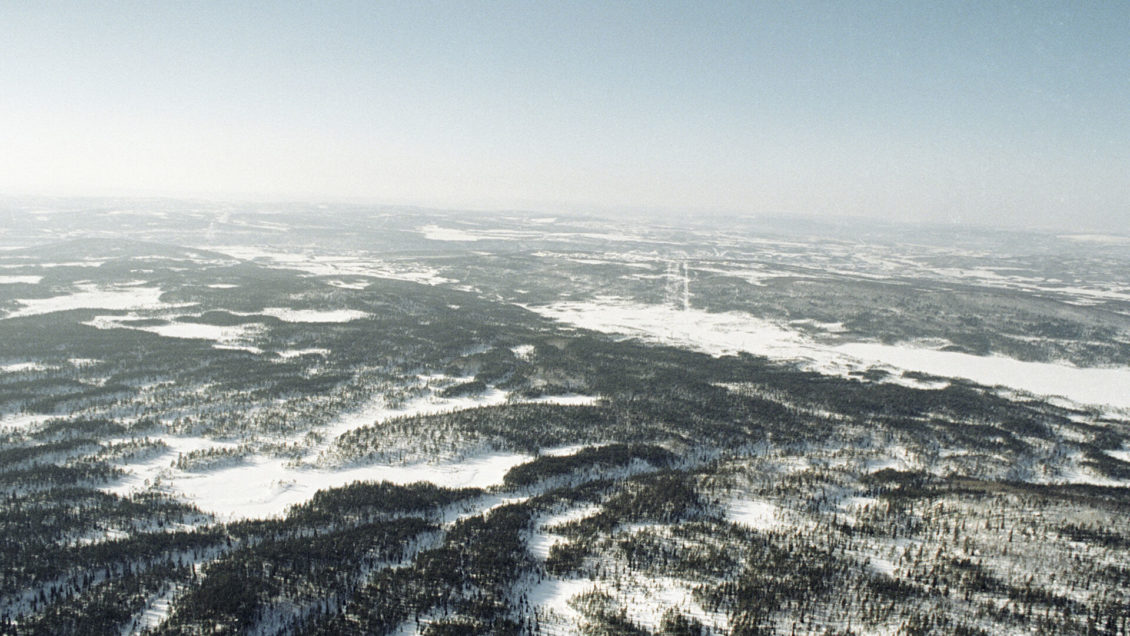 На Ямале началась ежегодная вакцинация тундровиков от сибирской язвы На Ямале началась ежегодная вакцинация тундровиков от сибирской язвы