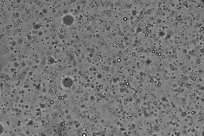 Обнаружена способствующая появлению клеточной жизни молекула Обнаружена способствующая появлению клеточной жизни молекула