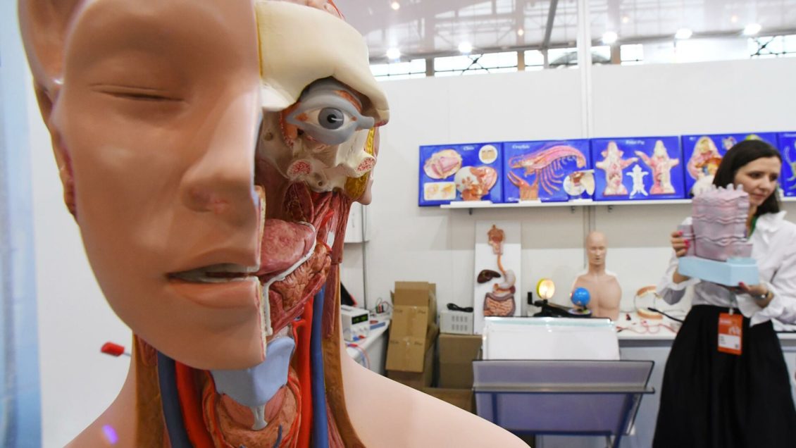 Эволюция полным ходом. Как тело человека изменилось за сто лет Эволюция полным ходом. Как тело человека изменилось за сто лет