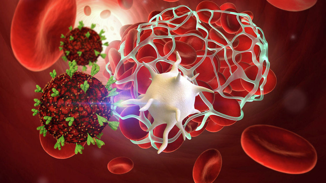 "Страдают легкие". Ученые рассказали о риске тромбоза при COVID-19