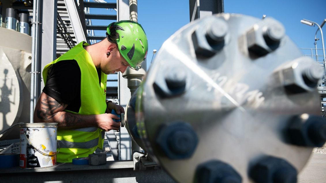 Немецкие экологи подали иск против строительства "Северного потока &mdash; 2"