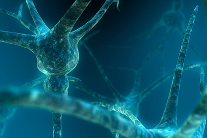 Раскрыта тайна смертельной и распространенной болезни мозга Раскрыта тайна смертельной и распространенной болезни мозга