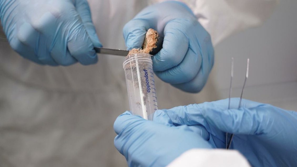 На Ямале началась ежегодная вакцинация тундровиков от сибирской язвы На Ямале началась ежегодная вакцинация тундровиков от сибирской язвы