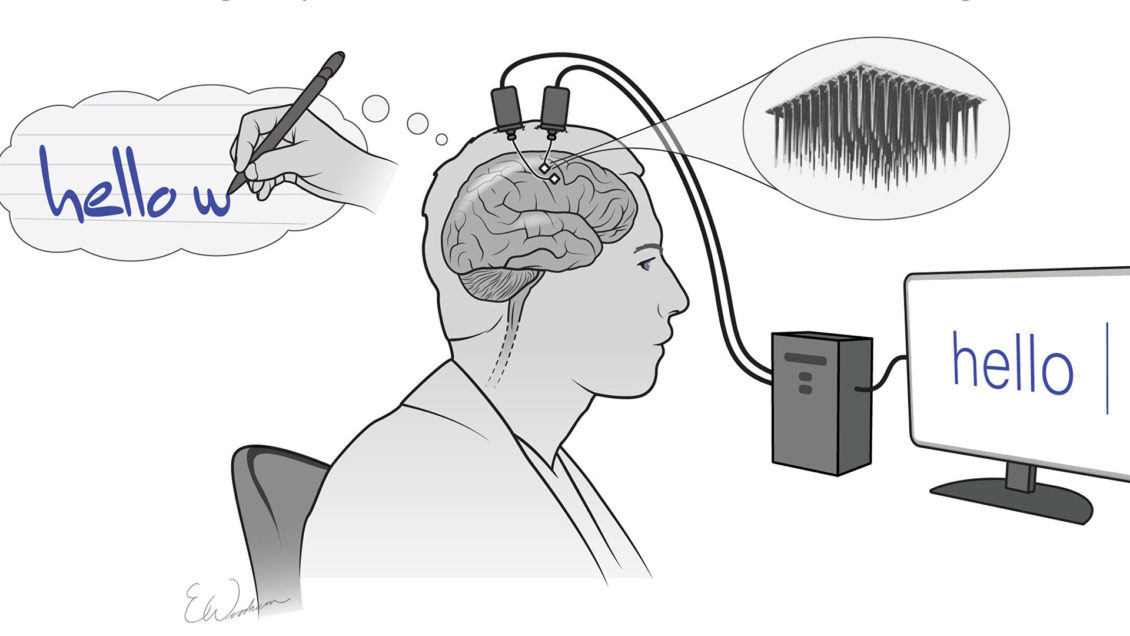 Предложена новая гипотеза, объясняющая природу сновидений