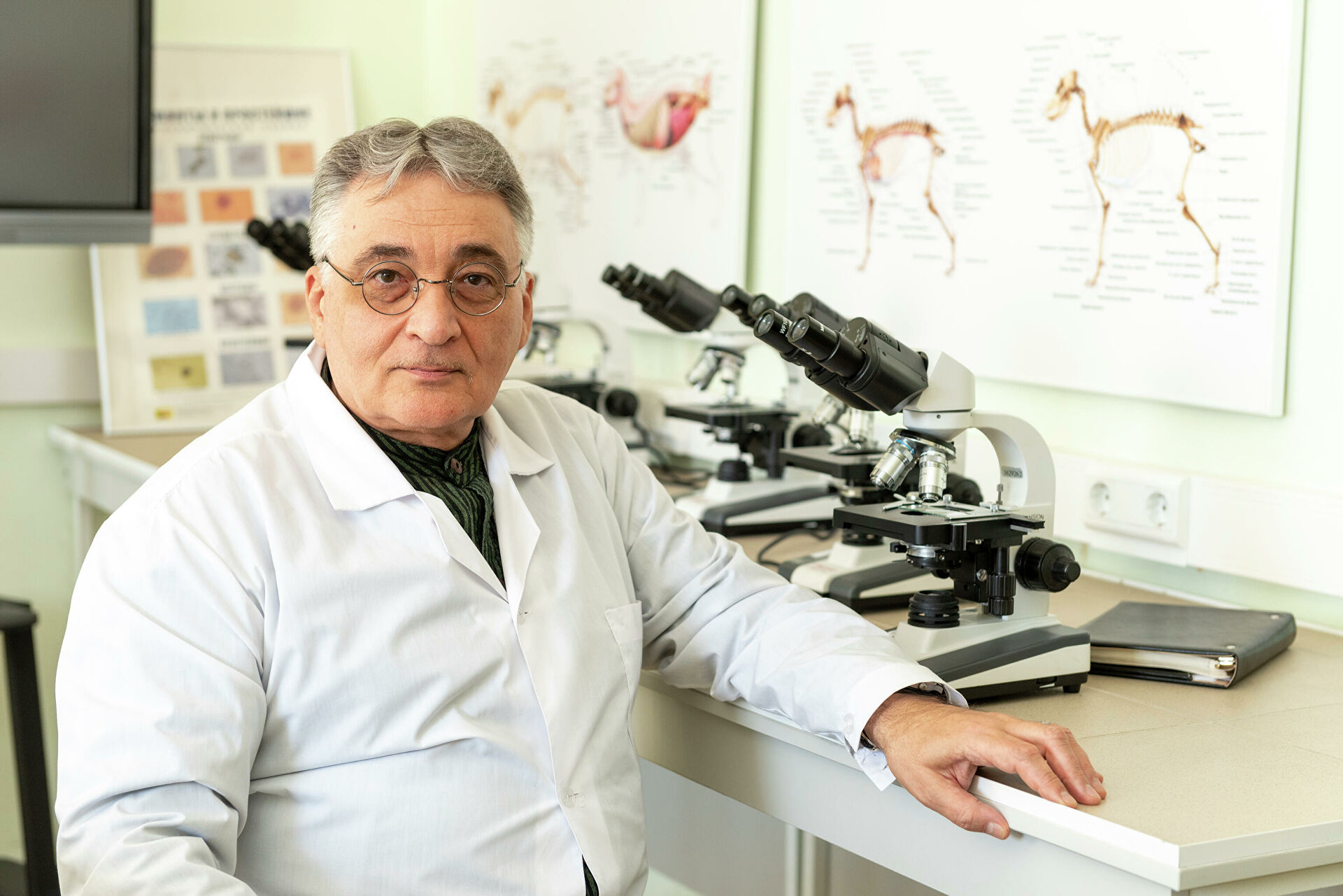 Ученые нашли вещество для создания антибиотиков нового поколения Ученые нашли вещество для создания антибиотиков нового поколения