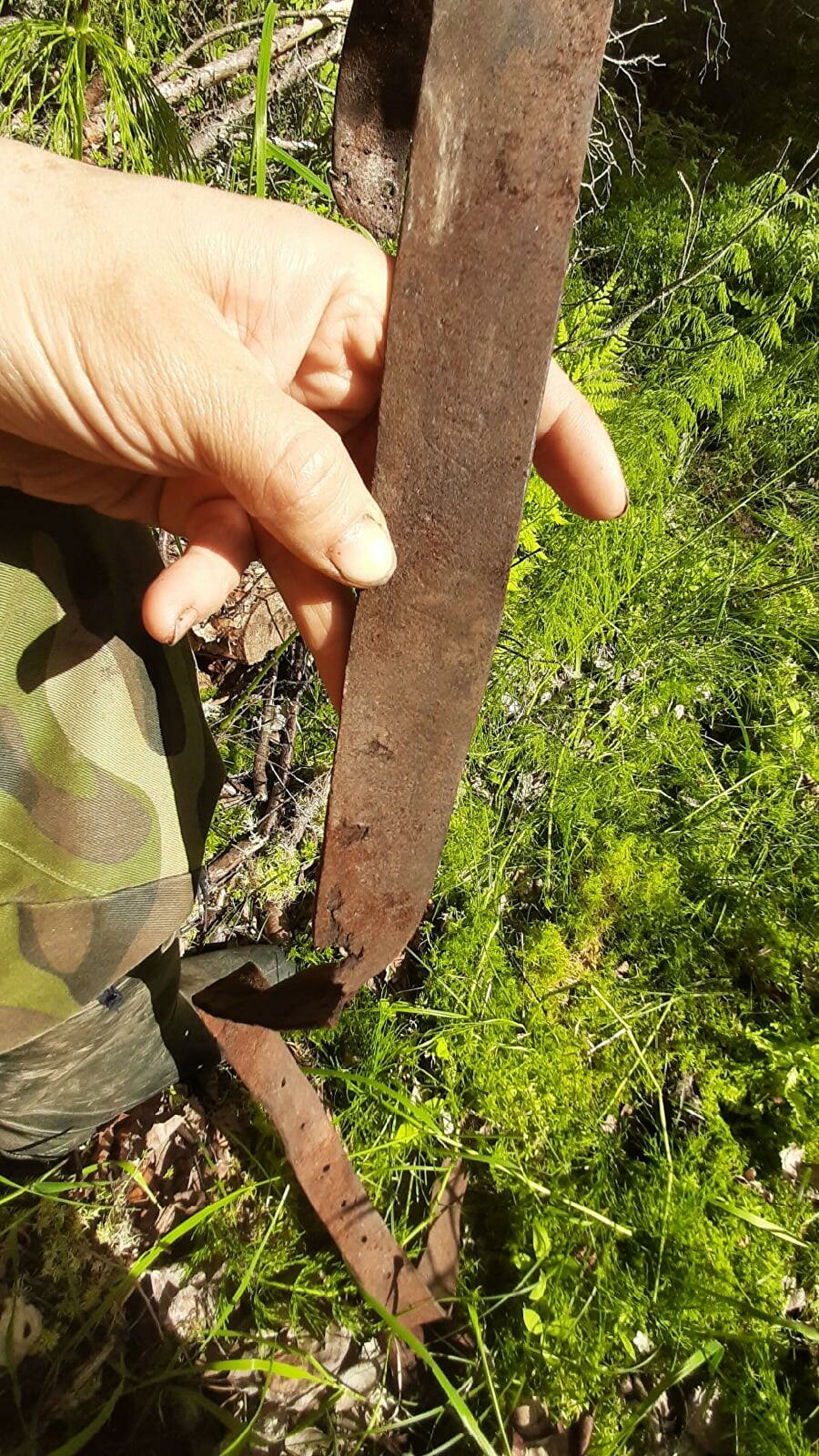 "Мама, нашли твоего деда". Зачем нужна ДНК-идентификация красноармейцев