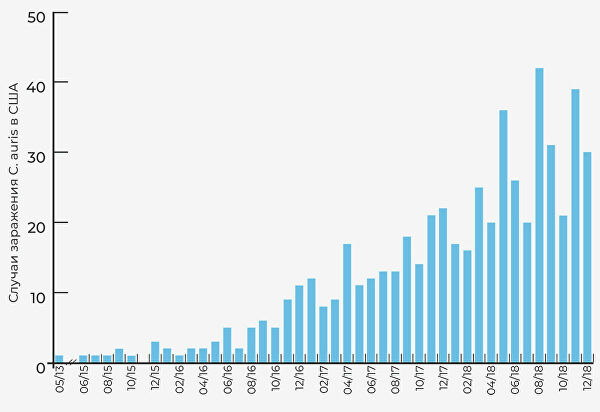 Черная плесень. Вспышки смертельных грибковых инфекций охватили мир