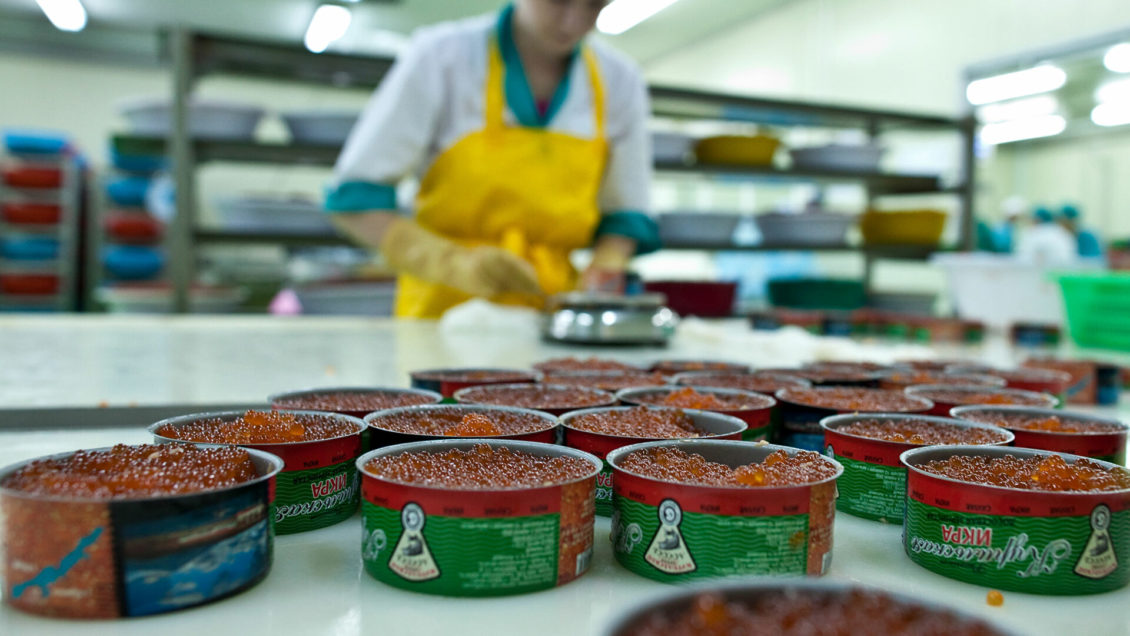 Дефицита красной икры не будет, заявили в Росрыболовстве