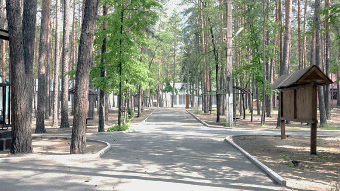 В Якутии планируют отправить на отдых в лагеря почти 30 тысяч детей