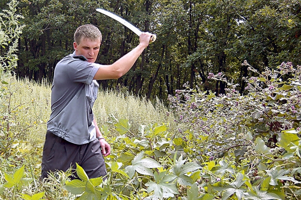 Дачникам напомнили о штрафах за нелегальные колодцы и сорняки на участке