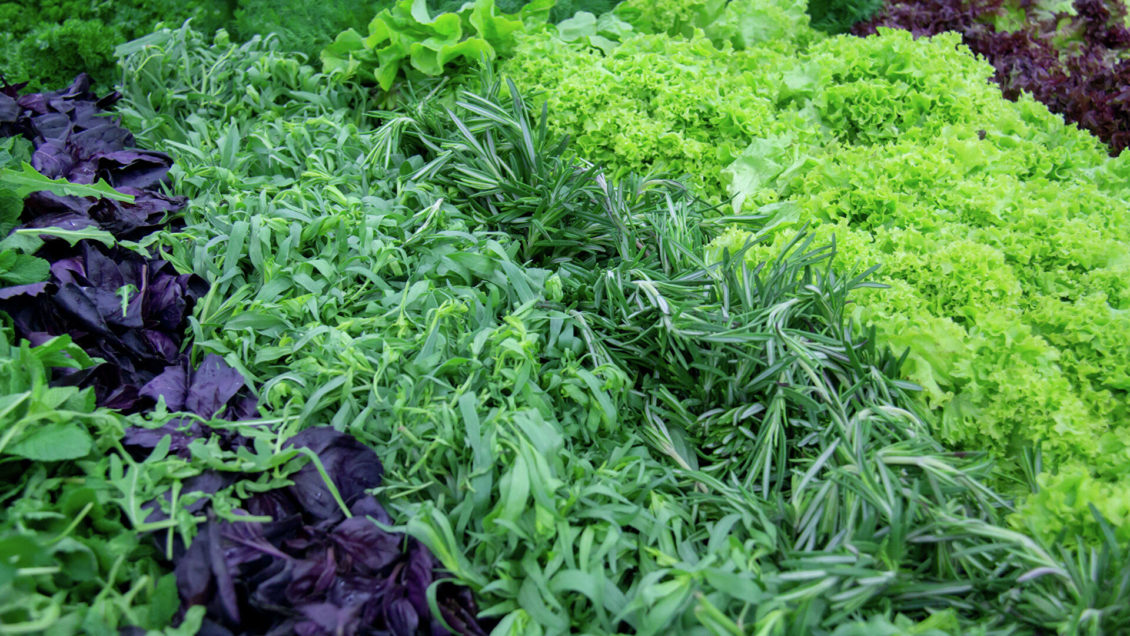 Россиян предупредили о "чрезвычайной" опасности петрушки