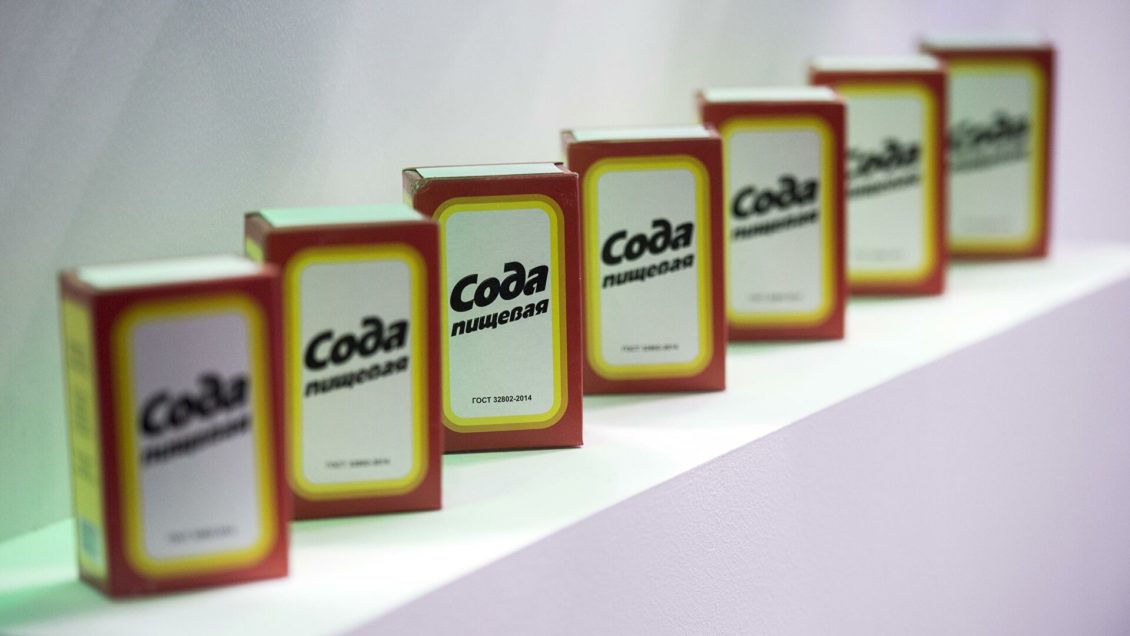 Путин передал управление "Башкирской содовой компанией" Башкирии