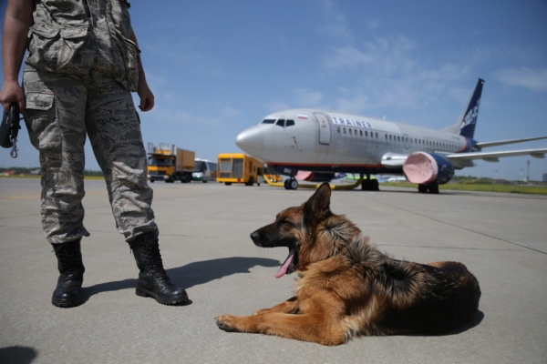 От них не спрячешь От них не спрячешь