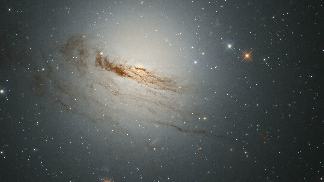 Черные дыры и темная материя: российские физики обсудили новую гипотезу