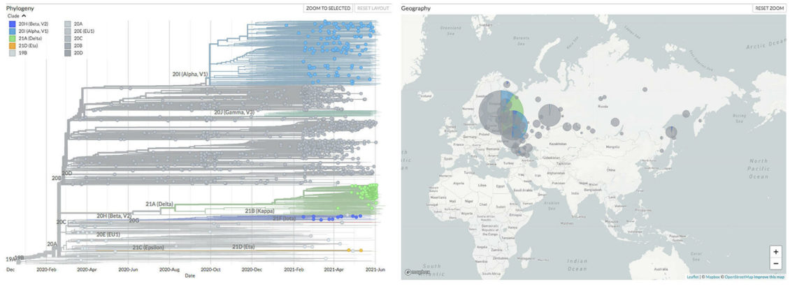 "Дельта" с плюсом. Чего ждать от нового варианта индийского штамма "Дельта" с плюсом. Чего ждать от нового варианта индийского штамма