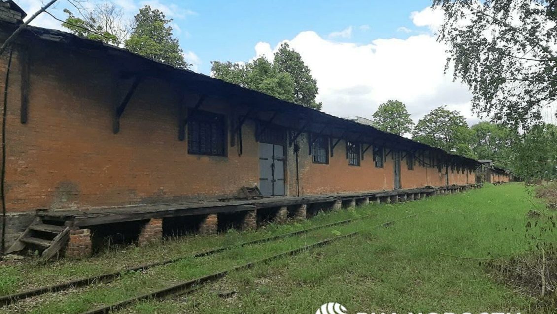 В России создали петицию о признании геноцида советского народа нацистами В России создали петицию о признании геноцида советского народа нацистами