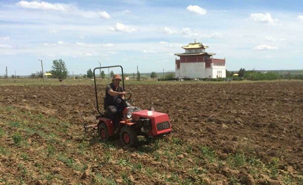 Остановить растущую пустыню позволит проект российских ученых