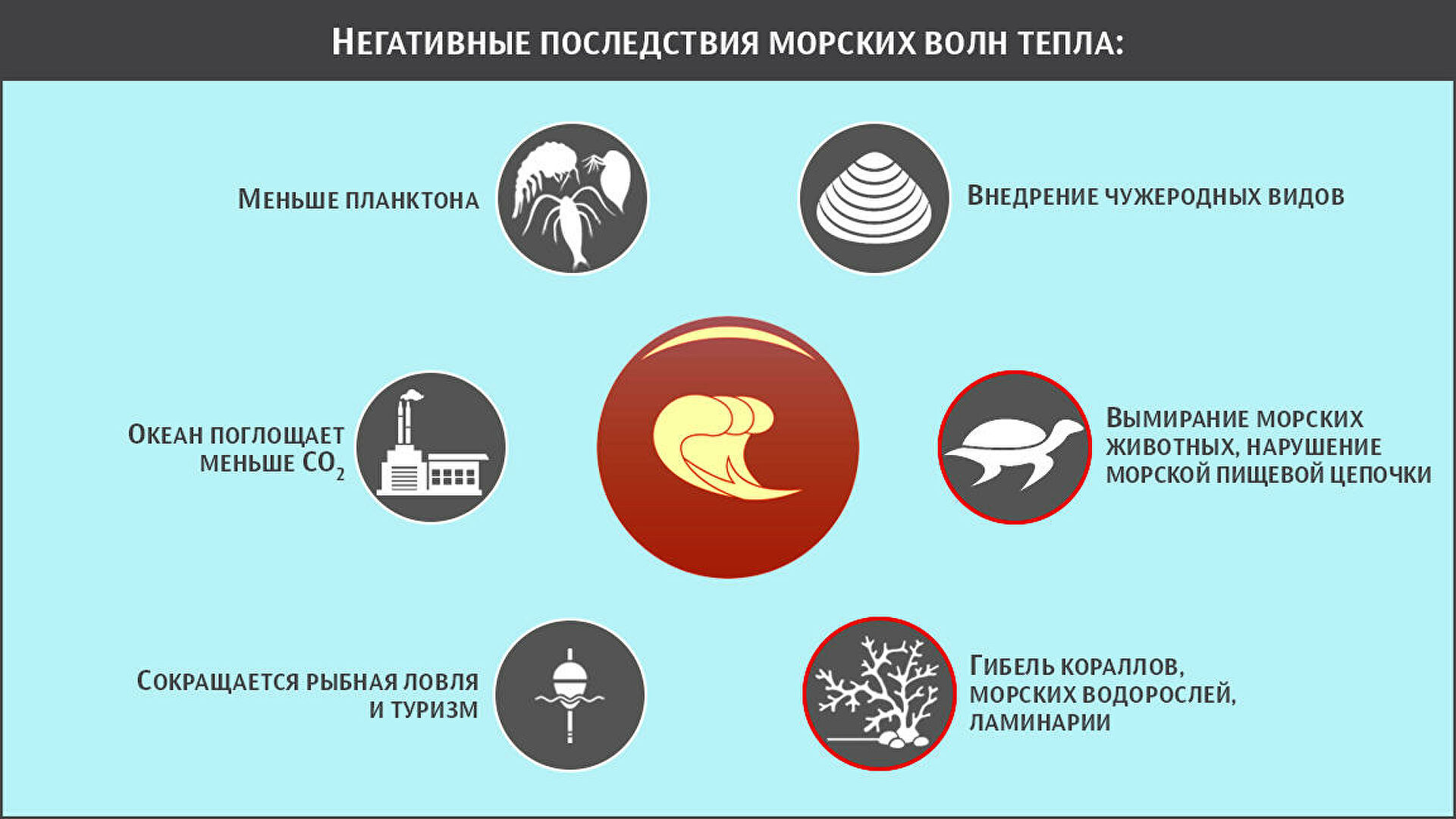 Никто не выживает. Где на планете возникают мертвые зоны Никто не выживает. Где на планете возникают мертвые зоны