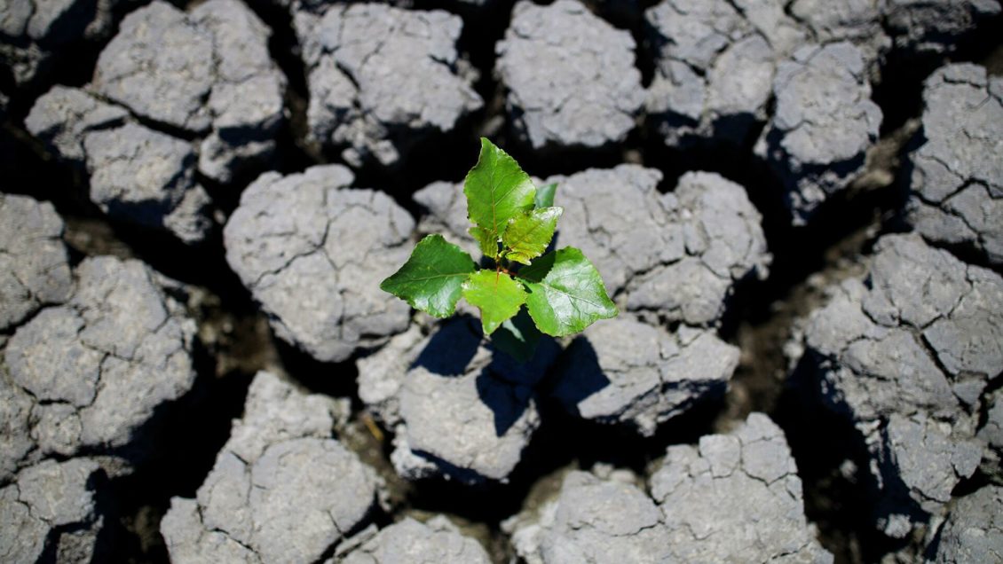 Москвичам рассказали о погоде в пятницу