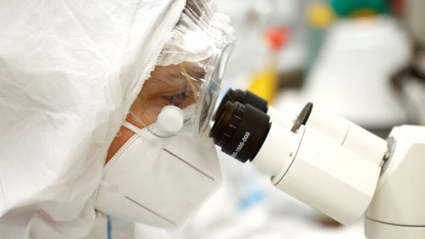 Ученые выявили неточность в теории Дарвина