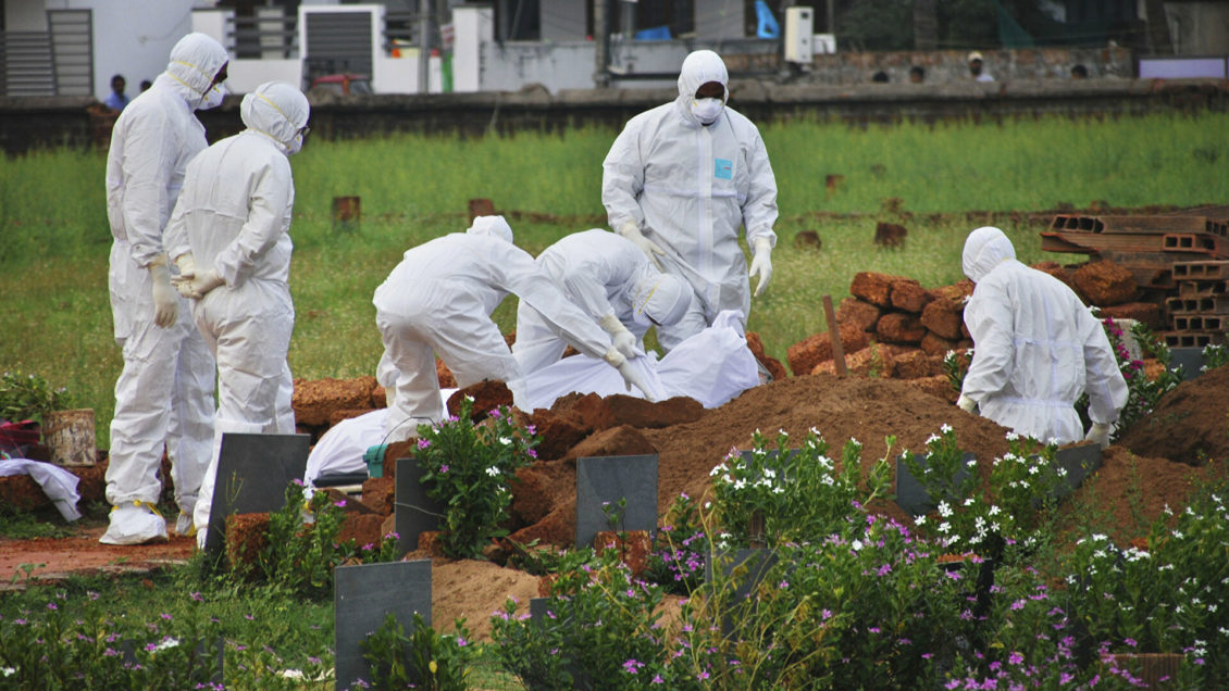 Найденный в Индии смертельно опасный вирус Нипах не вызывает эпидемии, заявили в центре Гамалеи