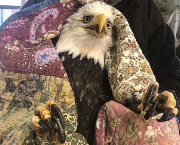 Ушла эпоха: у Штатов нет союзников для грядущих битв