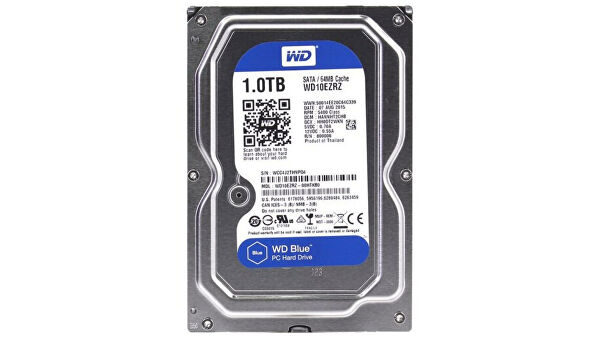 Какой жесткий диск выбрать: семь популярных моделей 2021 года