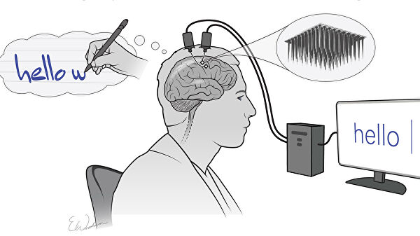 Придуман необычный способ сохранять работоспособность больше суток Придуман необычный способ сохранять работоспособность больше суток