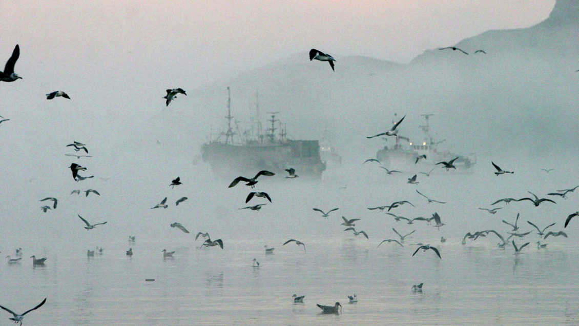 В Японии задержали помощника капитана российского судна "Амур"