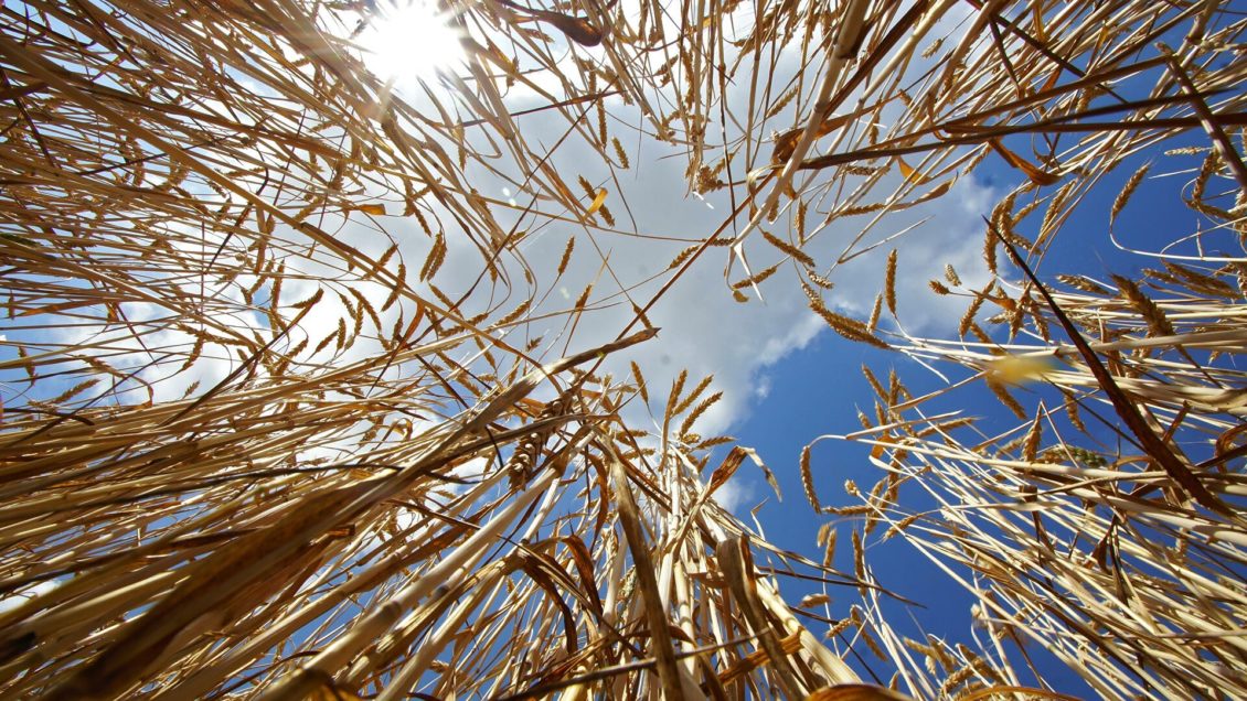 Астроном не исключил наступления нового ледникового периода Астроном не исключил наступления нового ледникового периода