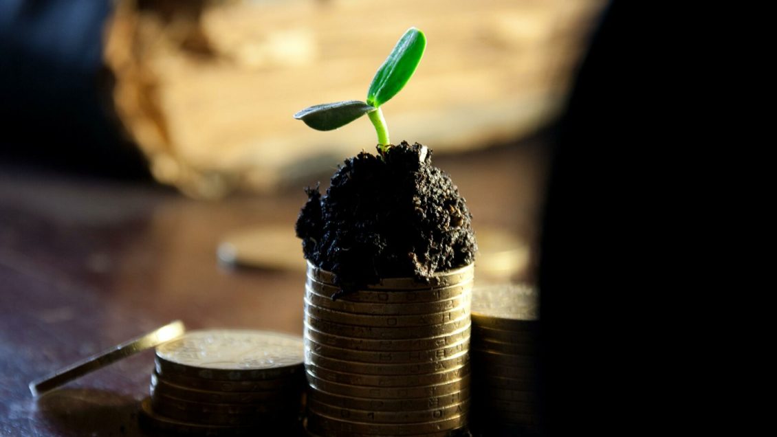 Финансист назвала способ не работать после 40 лет