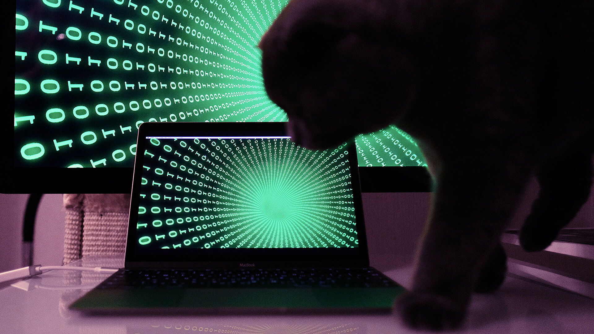 Эксперты по кибербезопасности рассказали, что делать при утечке данных Эксперты по кибербезопасности рассказали, что делать при утечке данных