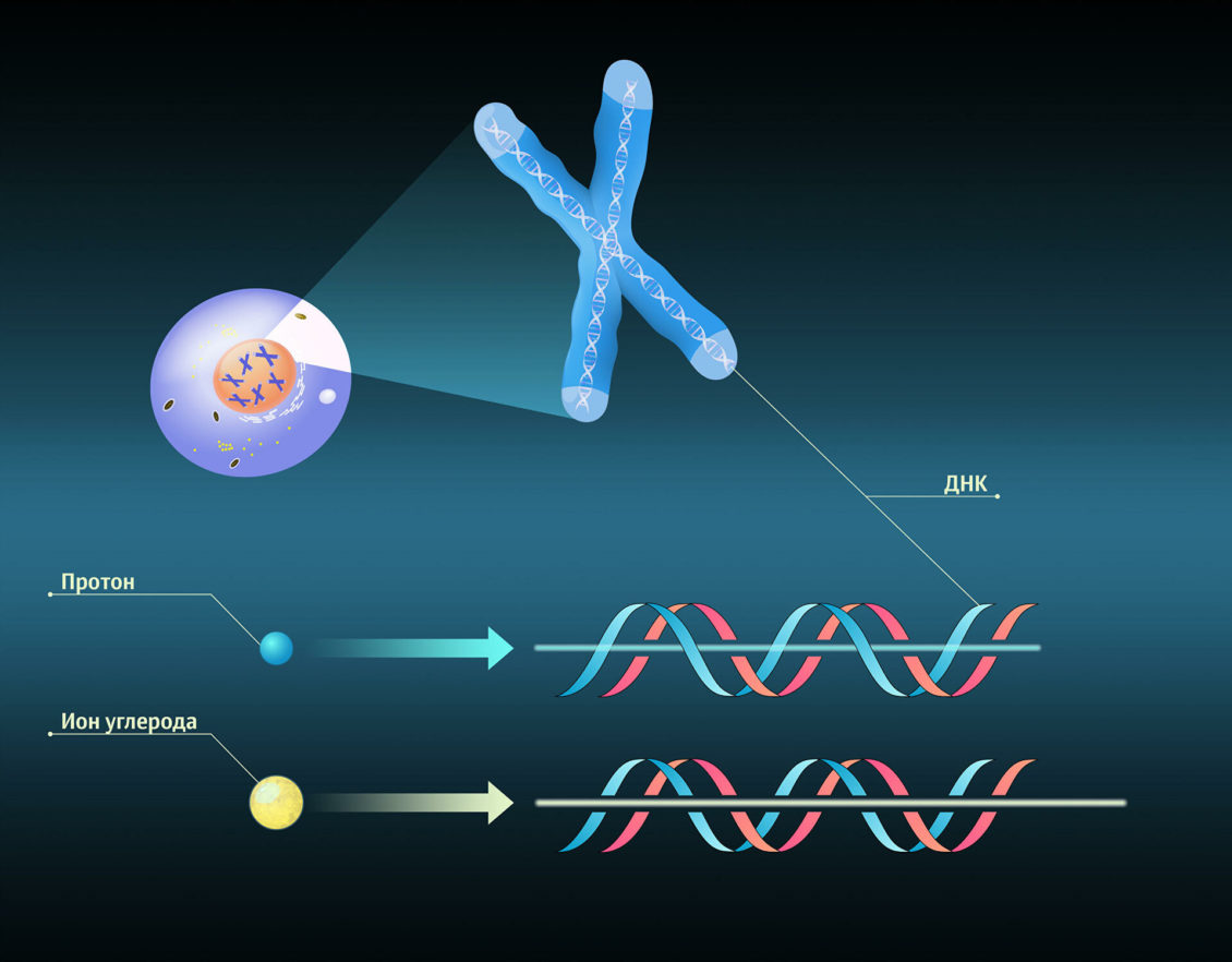 В России разрабатывают технологию против самых безнадежных видов рака