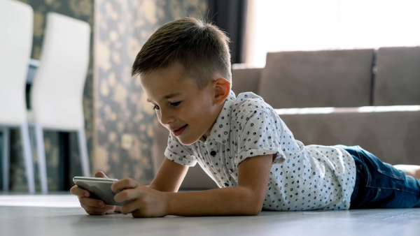 В Госдуме не считают нужным запрещать детям играть по ночам