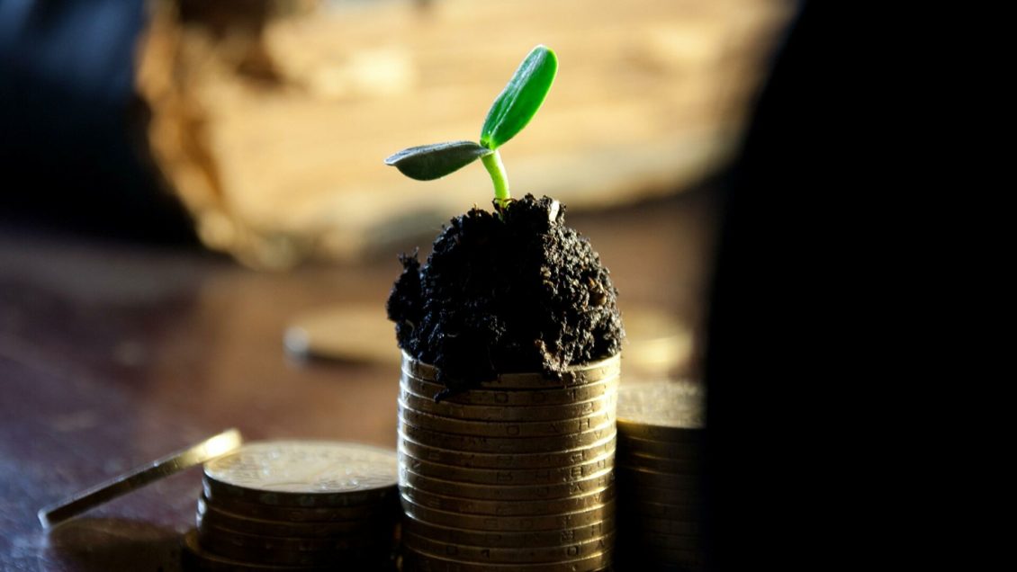 Финансовая грамотность россиян выросла на фоне пандемии