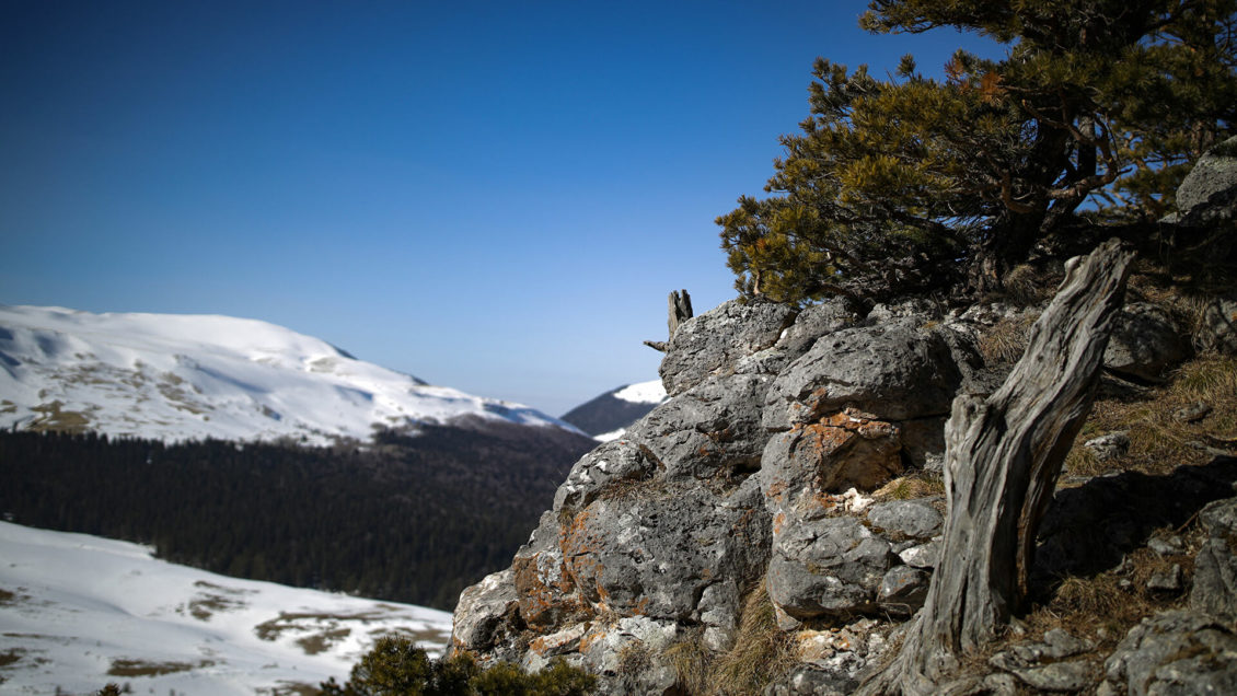 Власти Адыгеи рассказали о создании курорта "Лагонаки"