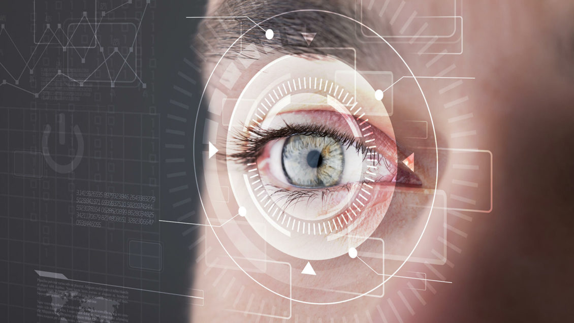 Создано лекарство от инфаркта из смертельного яда пауков Создано лекарство от инфаркта из смертельного яда пауков