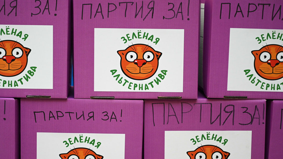 ЦИК заверил список кандидатов "Зеленая альтернатива" на выборах в Госдуму