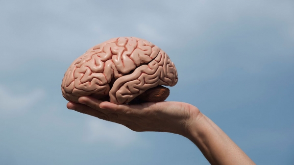 Ученые выяснили, что человеческий мозг может «путешествовать во времени» Ученые выяснили, что человеческий мозг может «путешествовать во времени»