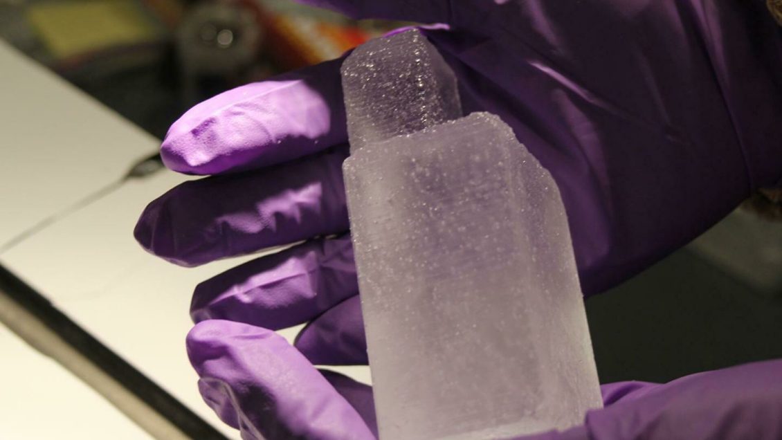 Получены новые данные о происхождении неандертальцев и денисовцев Получены новые данные о происхождении неандертальцев и денисовцев